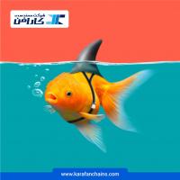 هشدار وجود محصولات تقلبی در بازار